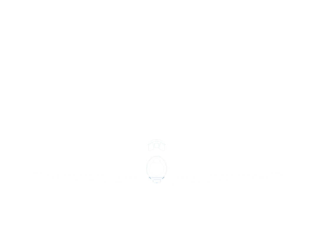 CAHS New Brunswick logo